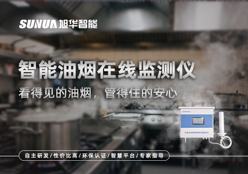 智能油烟在线监测仪：看得见的油烟，管得住的安心